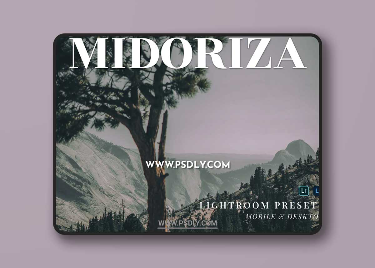 Midoriza Mobile and Desktop Lightroom Presets 1 Midoriza Mobile and Desktop Lightroom Presets