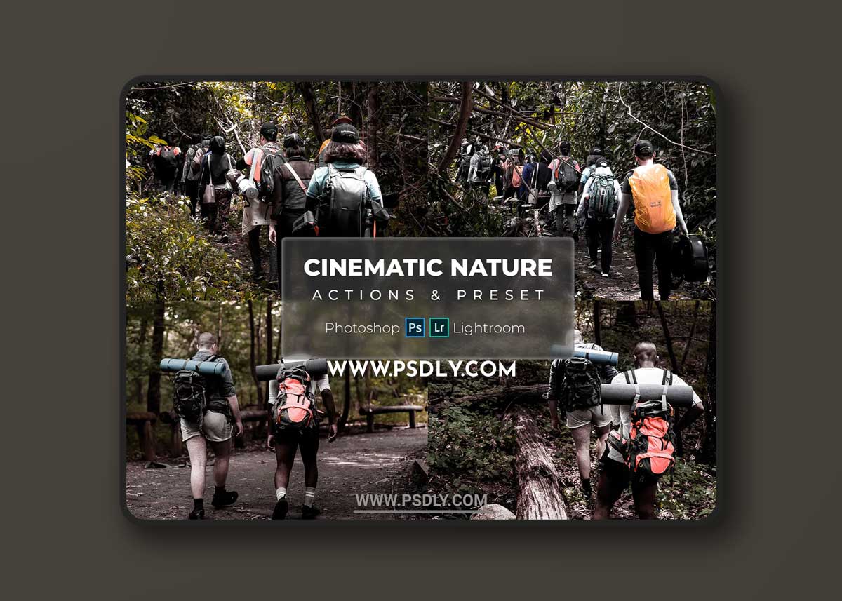 Natural Cinematic - (Presets & Actions) 1 Natural Cinematic - (Presets & Actions)