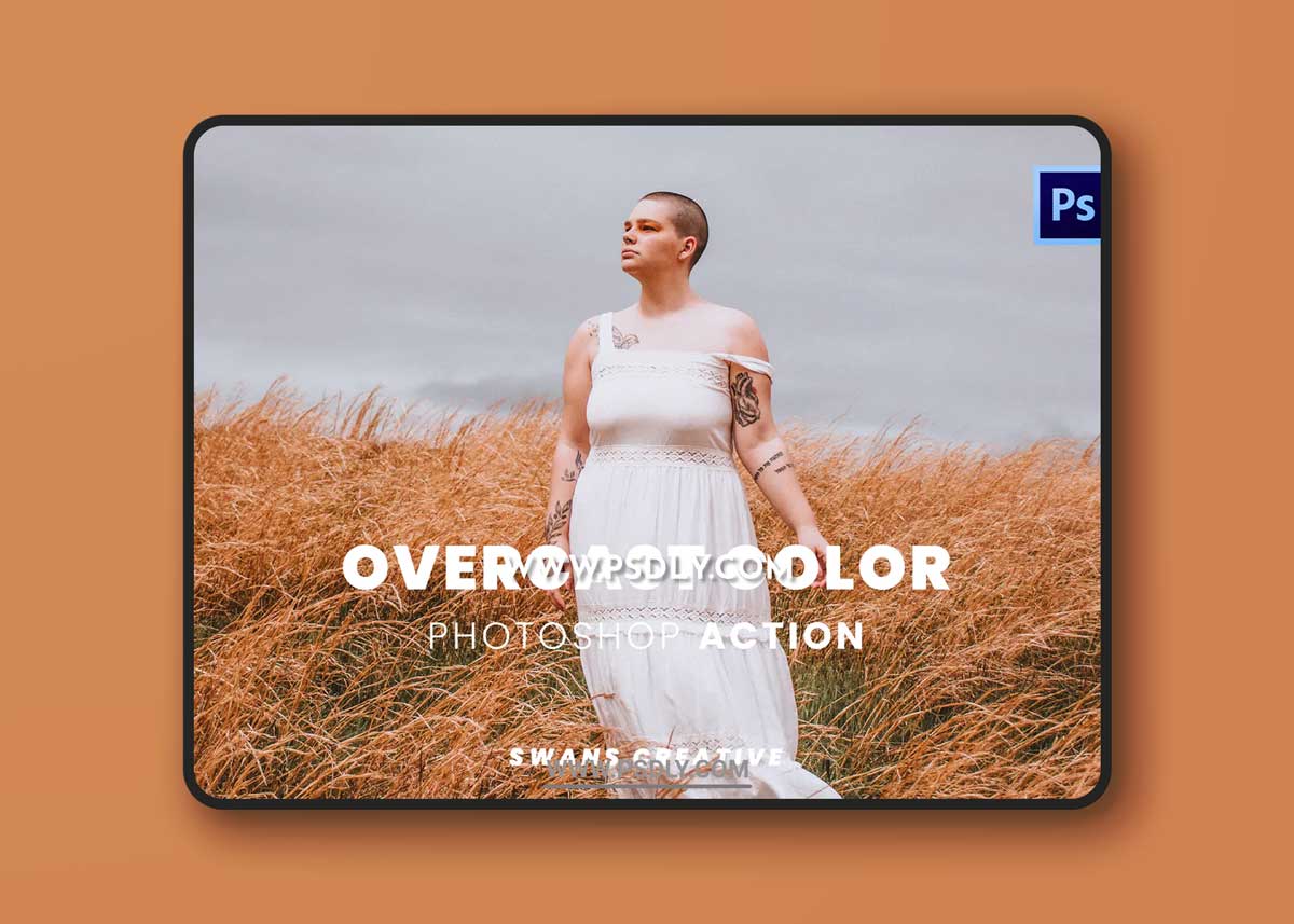 Overcast Color Photoshop Action 1 Overcast Color Photoshop Action