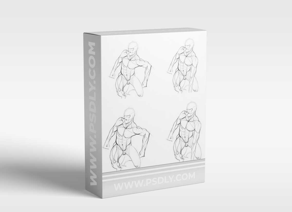 PROKO - Anatomy of the Human Body for Artists: The Basics 1 PROKO - Anatomy of the Human Body for Artists: The Basics