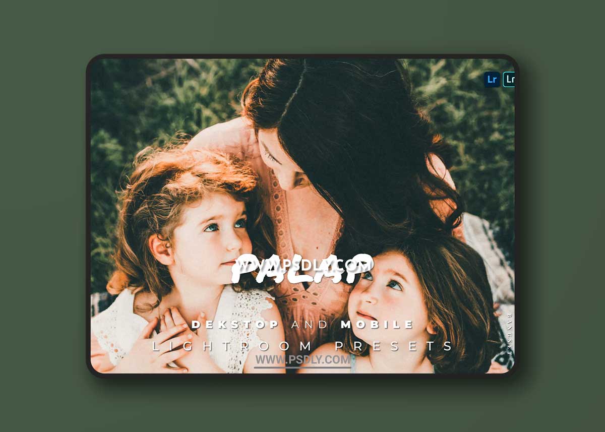 Palap Desktop and Mobile Lightroom Preset 1 Palap Desktop and Mobile Lightroom Preset