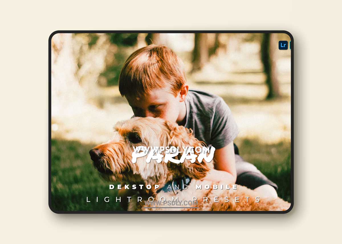 Paran Desktop and Mobile Lightroom Preset 1 Paran Desktop and Mobile Lightroom Preset