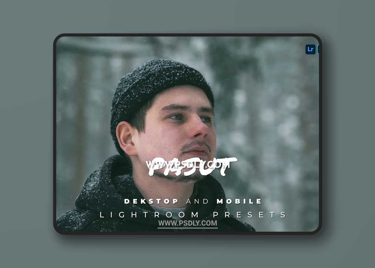 Pasut Desktop and Mobile Lightroom Preset 1 Pasut Desktop and Mobile Lightroom Preset