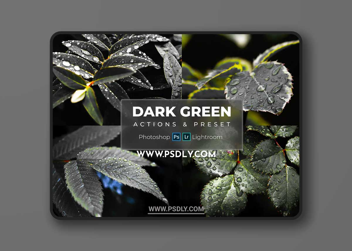 Phtoshop Actions & Lightroom Presets - Dark Green 1 Phtoshop Actions & Lightroom Presets - Dark Green
