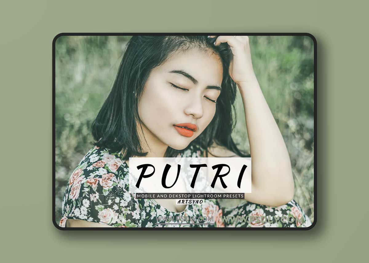 Putri Lightroom Presets Dekstop and Mobile 1 Putri Lightroom Presets Dekstop and Mobile