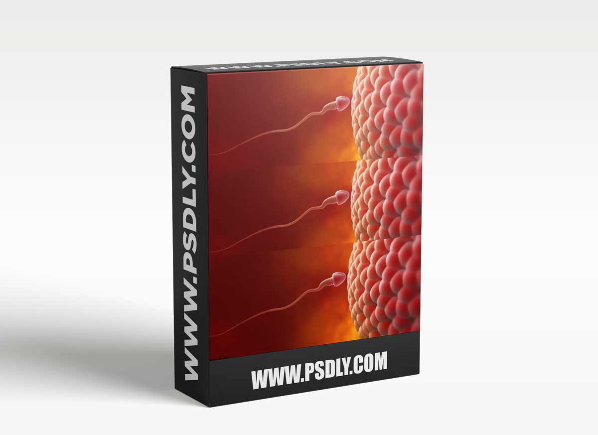 Reproductive Biology 1 Reproductive Biology