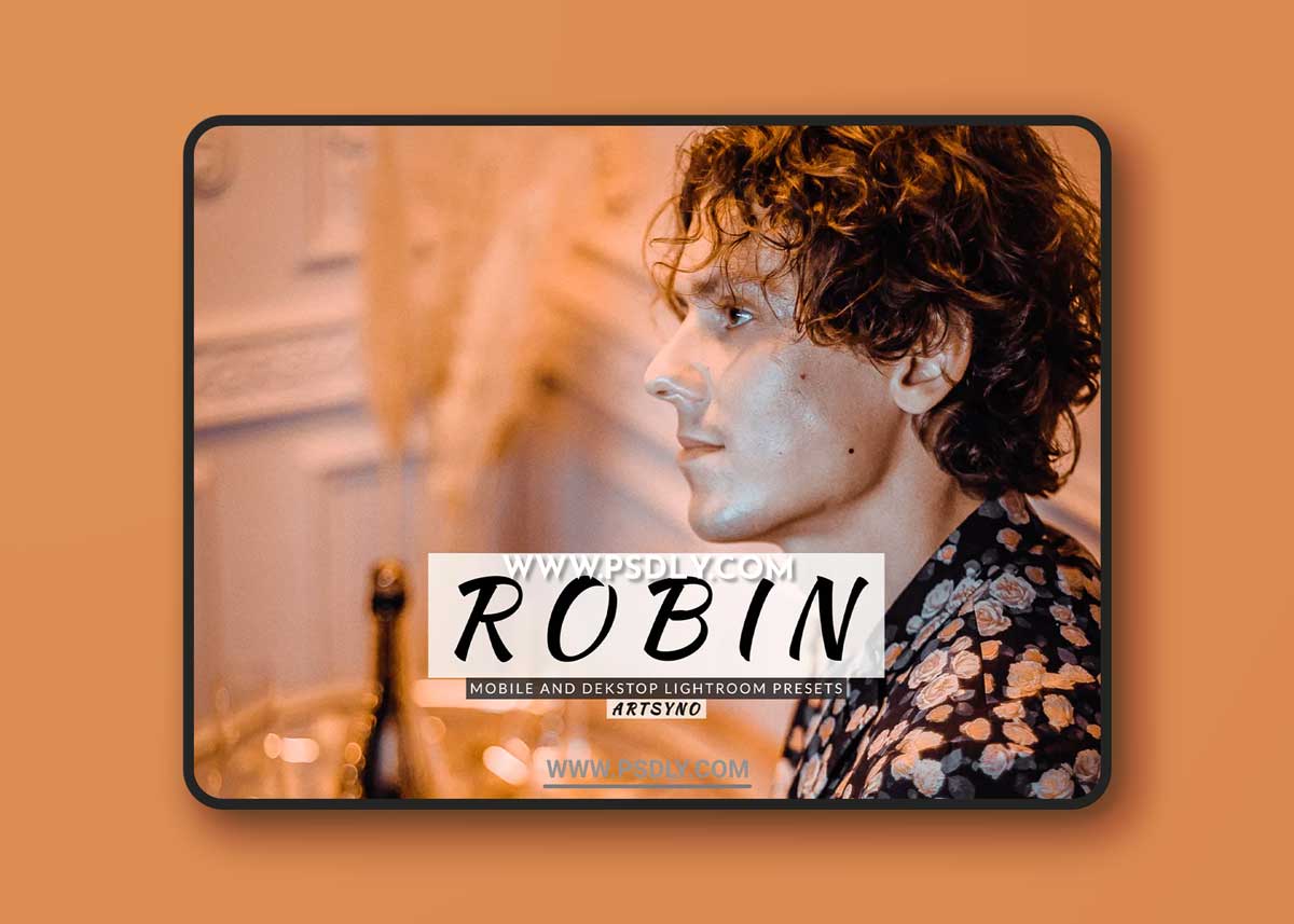 Robin Lightroom Presets Dekstop and Mobile 1 Robin Lightroom Presets Dekstop and Mobile