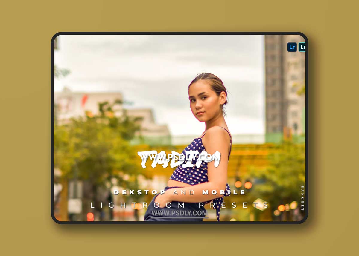 Tadim Desktop and Mobile Lightroom Preset 1 Tadim Desktop and Mobile Lightroom Preset