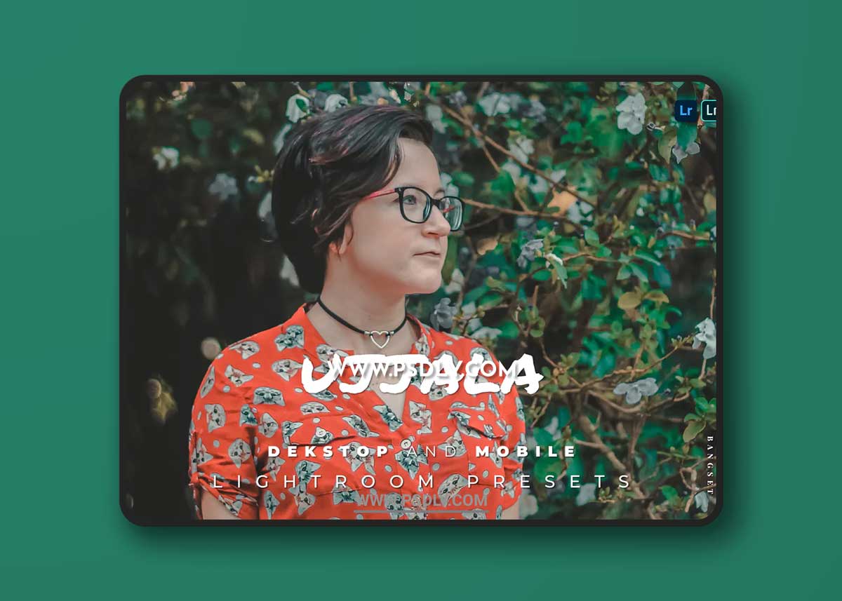 Ujjala Desktop and Mobile Lightroom Preset 1 Ujjala Desktop and Mobile Lightroom Preset