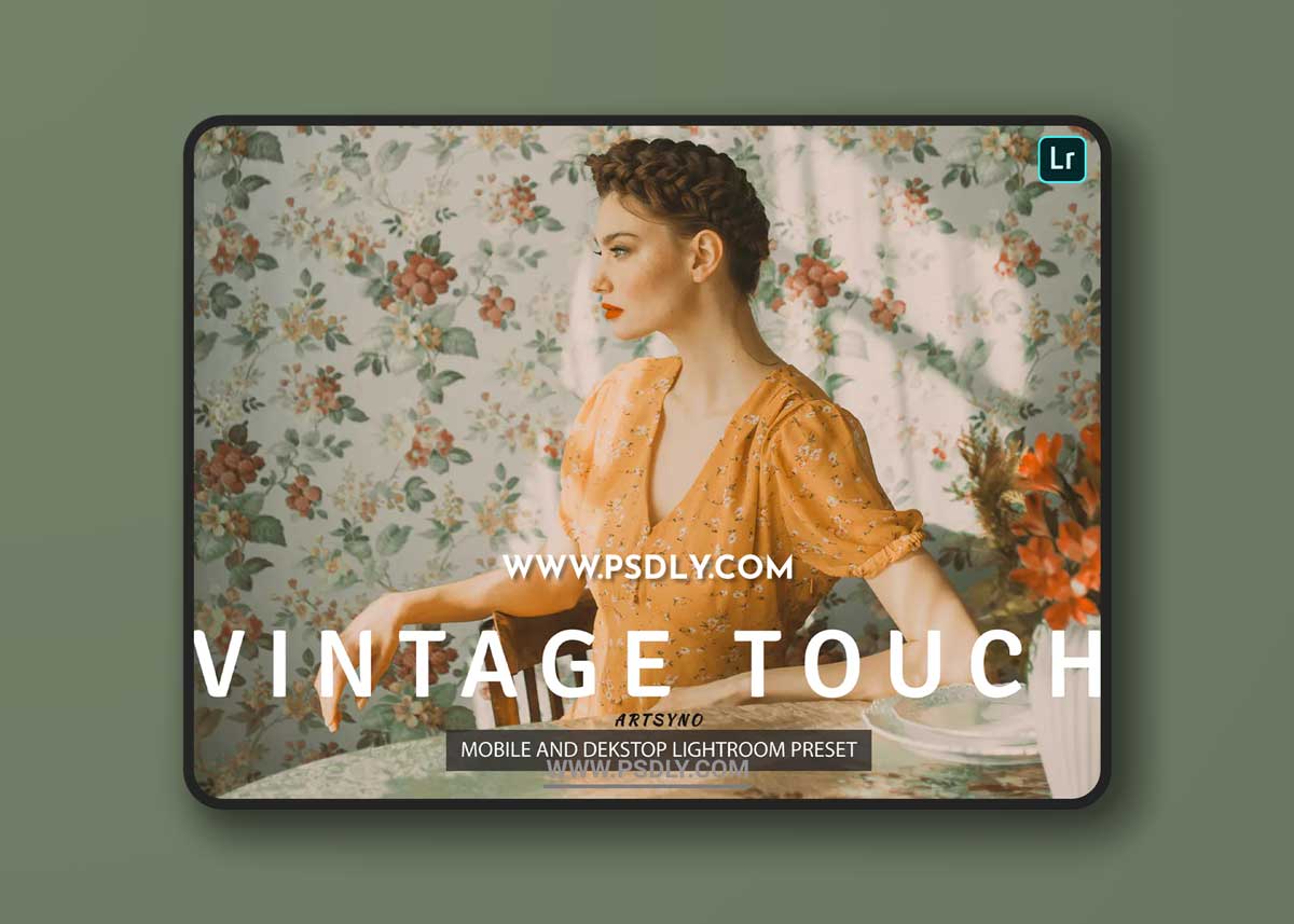 Vintage Touch Lightroom Presets Dekstop and Mobile 1 Vintage Touch Lightroom Presets Dekstop and Mobile