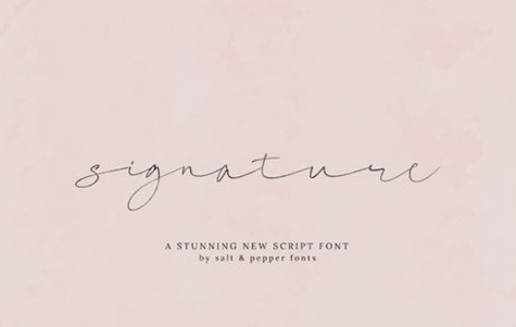 Signature Script Font 1 Signature Script Font