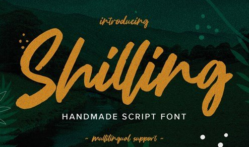 Shilling - Handmade Script Font 1 Shilling - Handmade Script Font