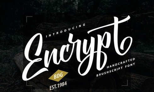 Encrypt Handcrafted Brush Script Font 1 Encrypt Handcrafted Brush Script Font