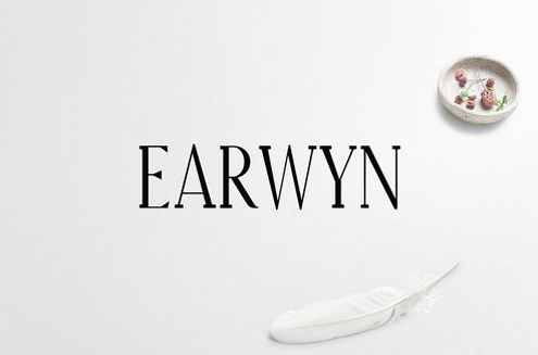 Earwyn Serif 3 Font Family Pack 1 Earwyn Serif 3 Font Family Pack