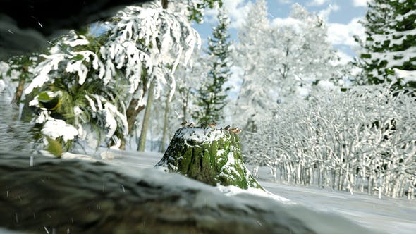 Videohive Winter Forest Nature Logo 29985870 1 Videohive Winter Forest Nature Logo 29985870