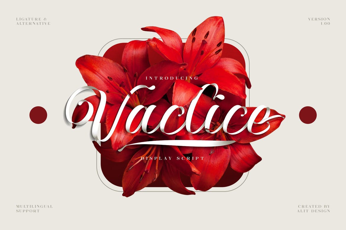Vaclice Script Font 1 Vaclice Script Font