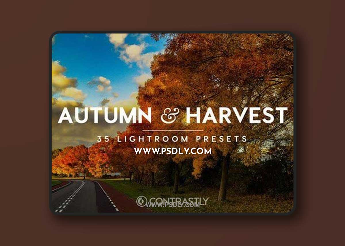 Autumn & Harvest Lightroom Presets 365877 1 Autumn & Harvest Lightroom Presets 365877