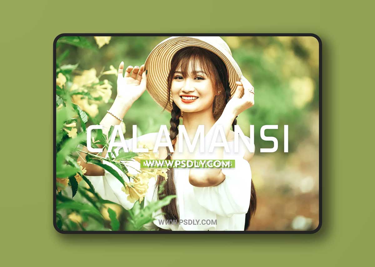 Calamansi Mobile & Desktop Lightroom Presets 1 Calamansi Mobile & Desktop Lightroom Presets