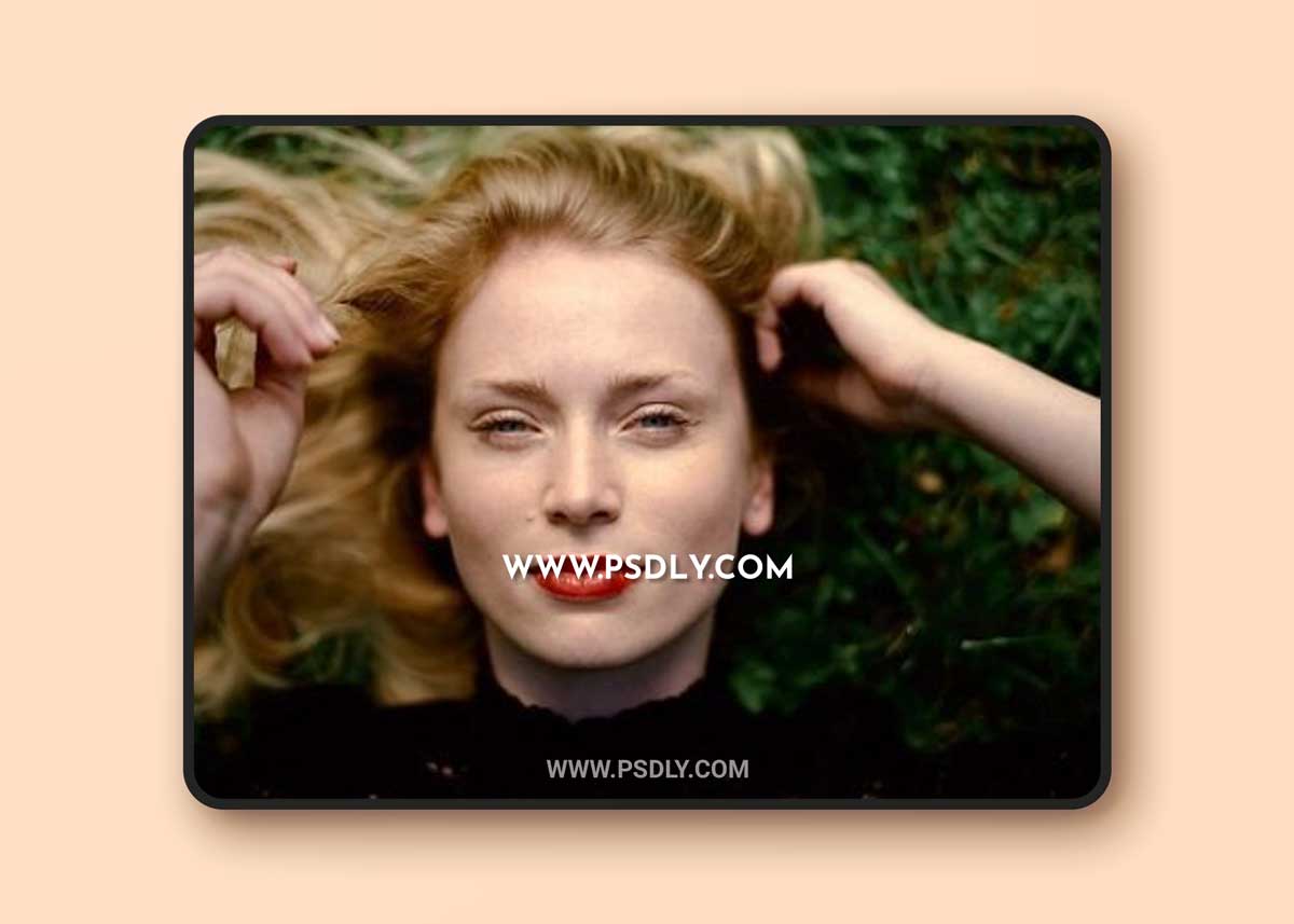 Classic Film Styles for Capture One - Full Collection 1 Classic Film Styles for Capture One - Full Collection