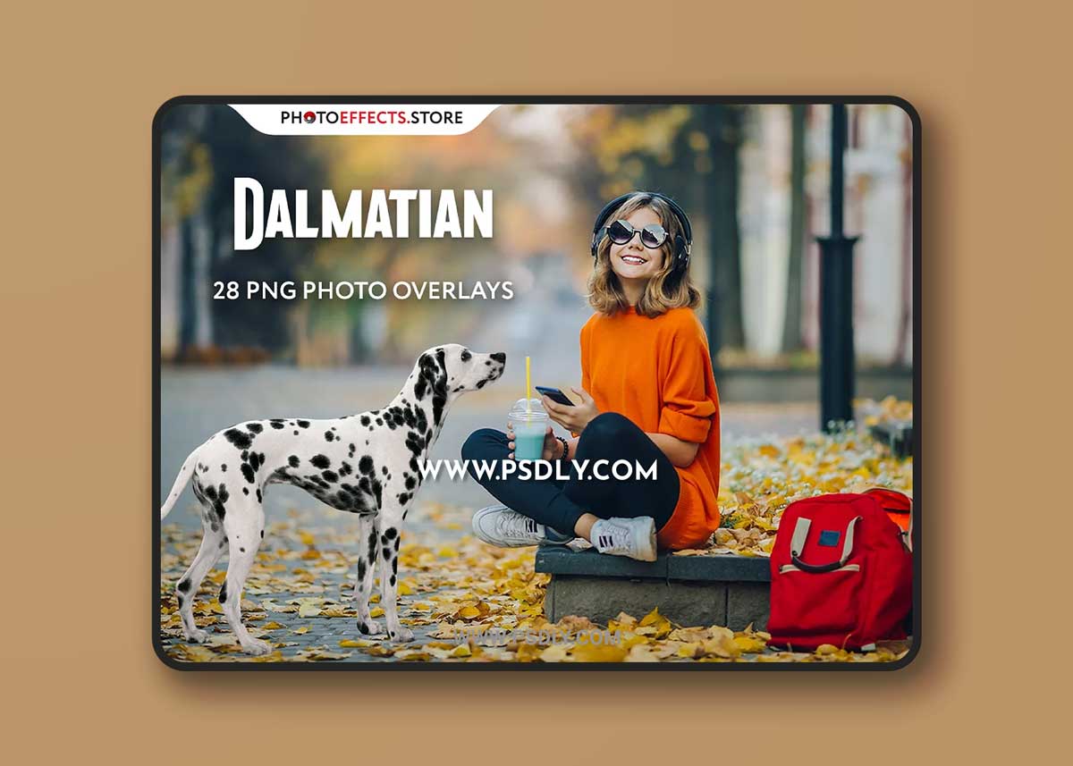 CreativeMarket - 28 Dalmatian Photo Overlays 6652850 1 CreativeMarket - 28 Dalmatian Photo Overlays 6652850