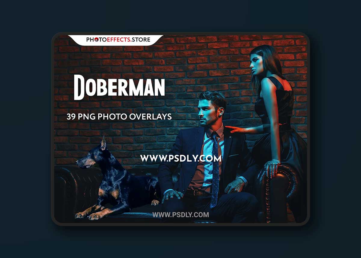 CreativeMarket - 39 Doberman Photo Overlays 6652849 1 CreativeMarket - 39 Doberman Photo Overlays 6652849