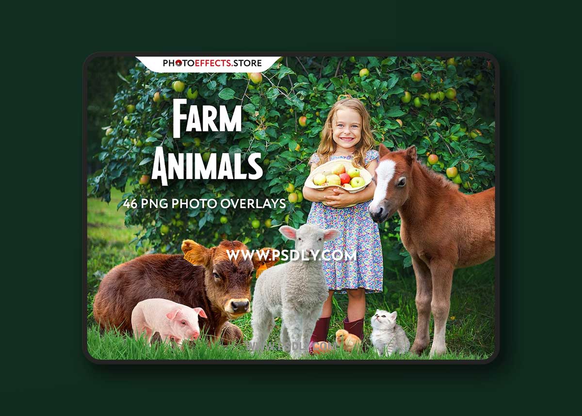 CreativeMarket - 46 Farm Animals Photo Overlays 6652852 1 CreativeMarket - 46 Farm Animals Photo Overlays 6652852
