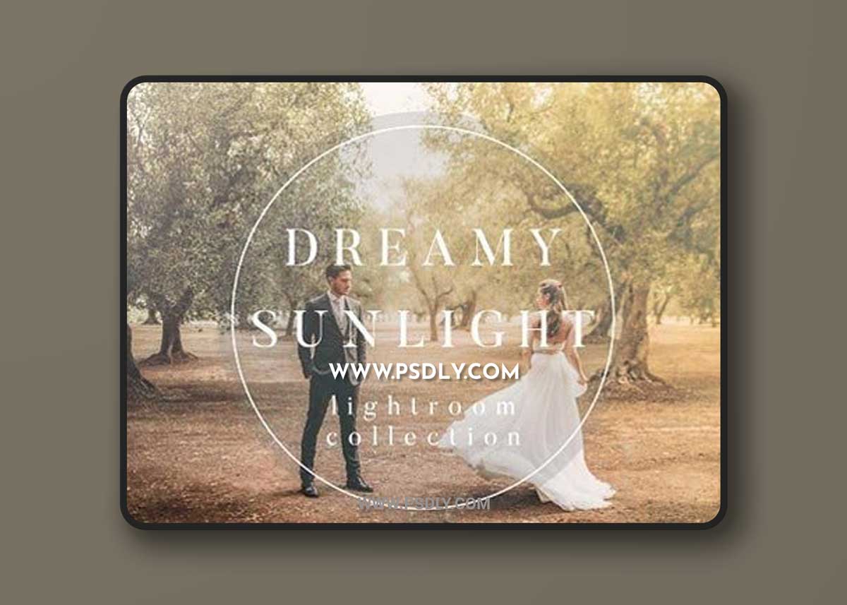 Dreamy Sunlight Collection for LR 1 Dreamy Sunlight Collection for LR
