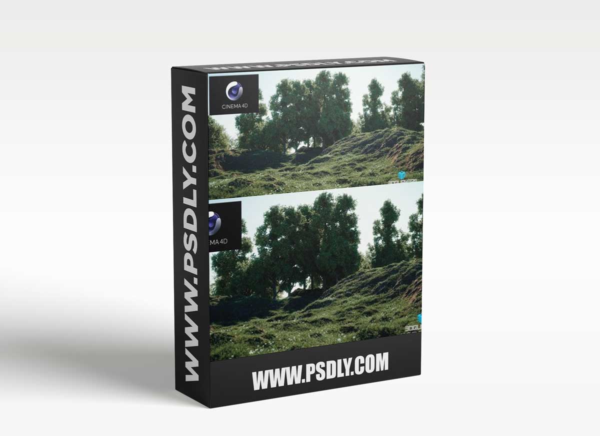 Forester v1.4.9 Plus Expansion Pack1 & Expansion Pack2 For C4D R20 R23 R25 1 Forester v1.4.9 Plus Expansion Pack1 & Expansion Pack2 For C4D R20 R23 R25