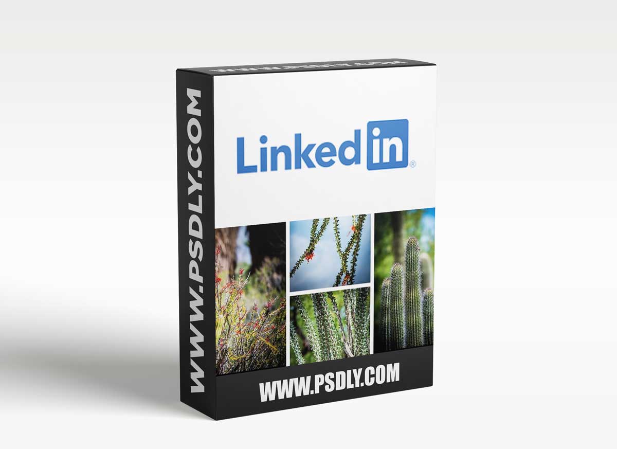 LinkedIn Learning - Batch Processing Photos to Save Time 1 LinkedIn Learning - Batch Processing Photos to Save Time