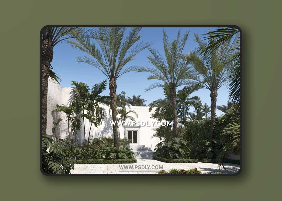 Maxtree - Plant Models Vol. 71 3D Model 1 Maxtree - Plant Models Vol. 71 3D Model