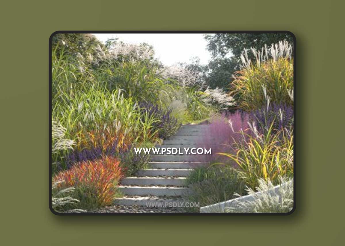 Maxtree - Plant Models Vol. 9 (2021) 1 Maxtree - Plant Models Vol. 9 (2021)