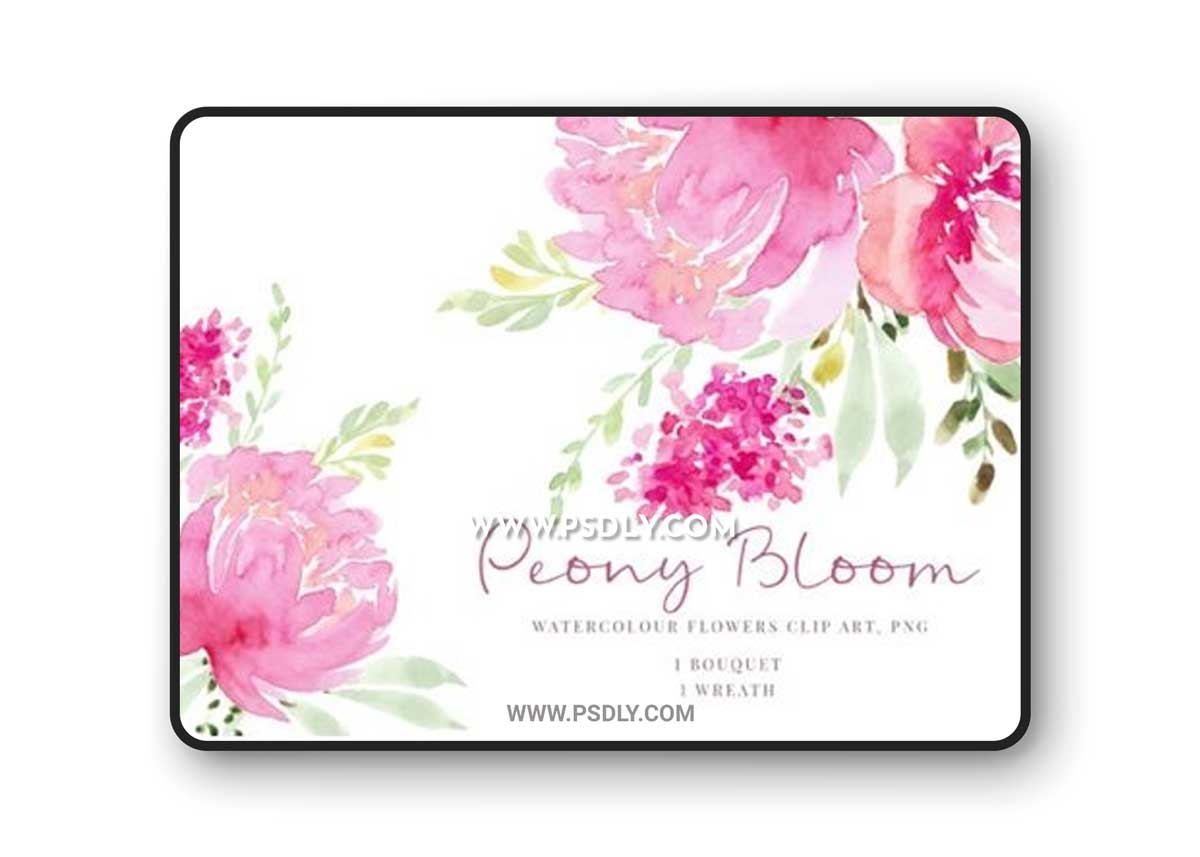 Pink Flowers Peony 1 Pink Flowers Peony