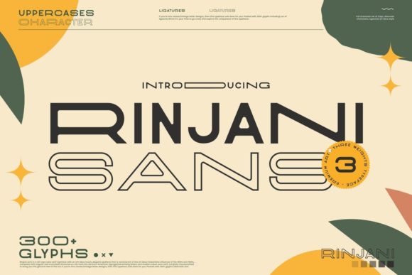 Rinjani Sans Font 1 Rinjani Sans Font