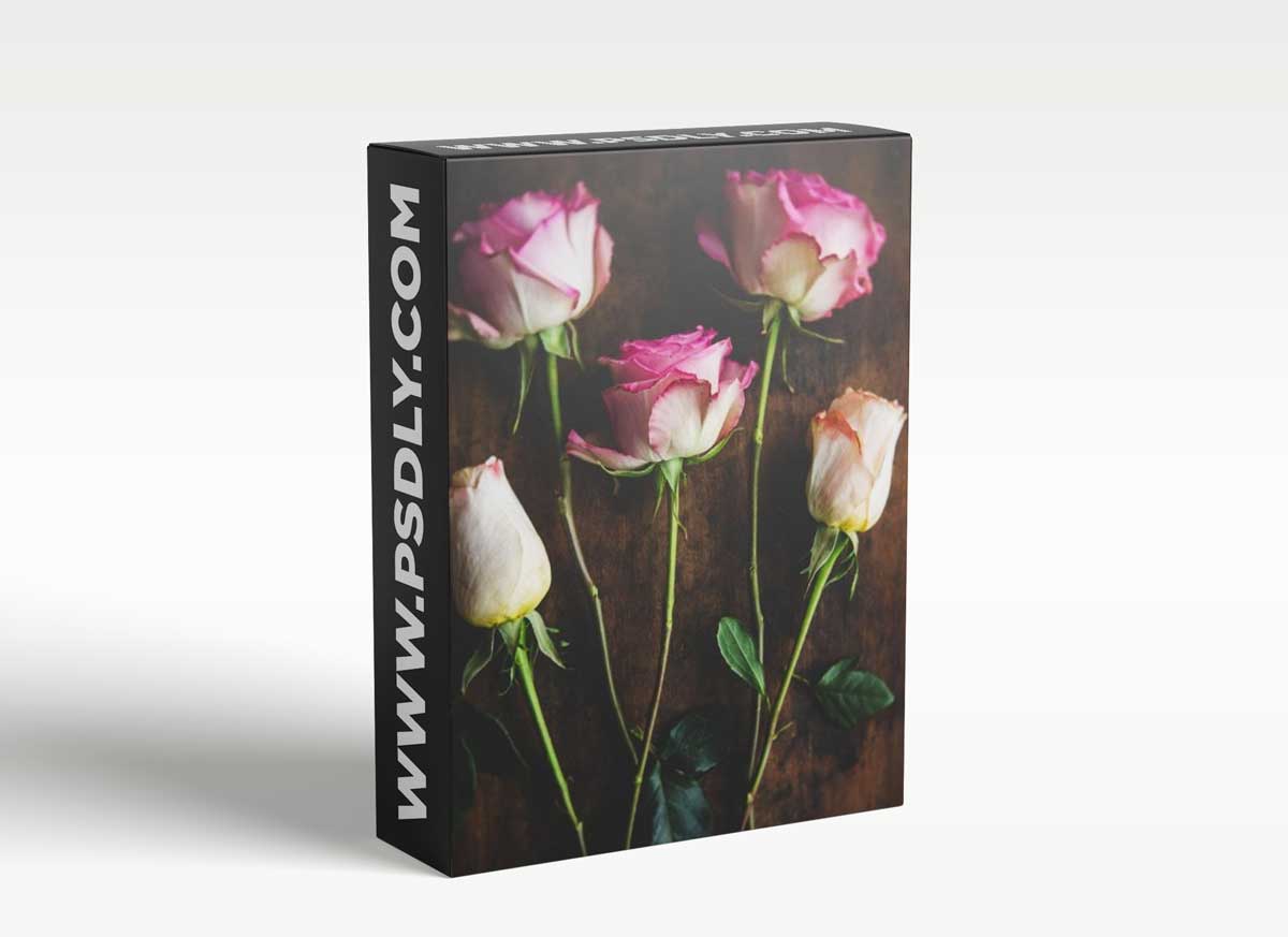 Still Life Photography: Creating A Beautiful Rose Flat lay Photo Using Natural Light 1 Still Life Photography: Creating A Beautiful Rose Flat lay Photo Using Natural Light