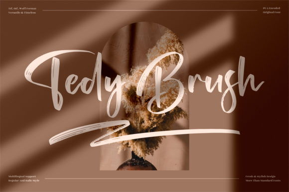 Tedy Brush Font 1 Tedy Brush Font