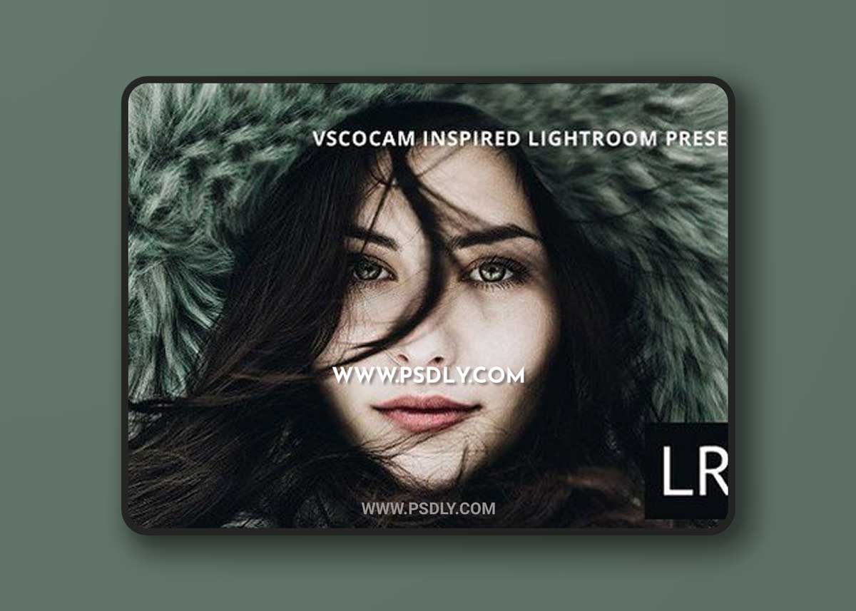 VSCOcam Inspired Lightroom presets 1 VSCOcam Inspired Lightroom presets