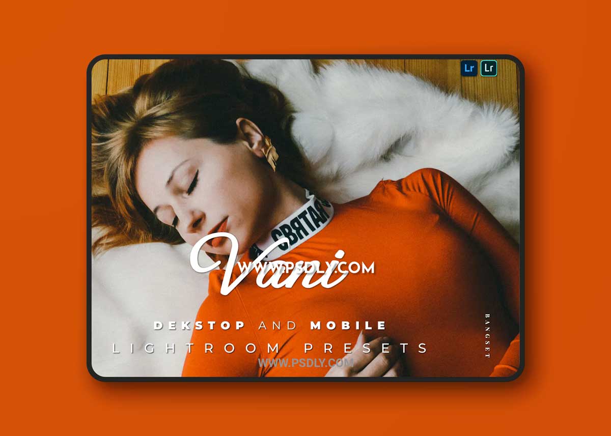 Vani Desktop and Mobile Lightroom Preset 1 Vani Desktop and Mobile Lightroom Preset