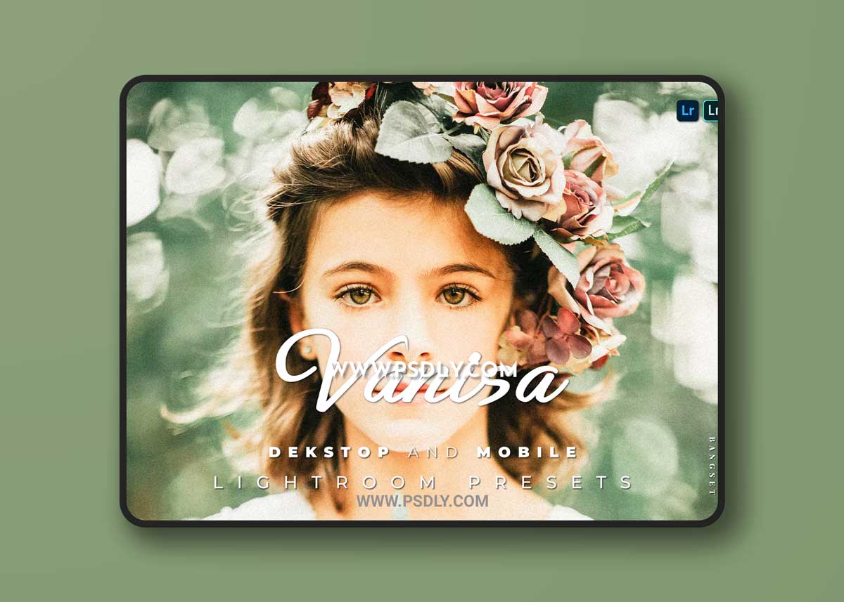 Vanisa Desktop and Mobile Lightroom Preset 1 Vanisa Desktop and Mobile Lightroom Preset