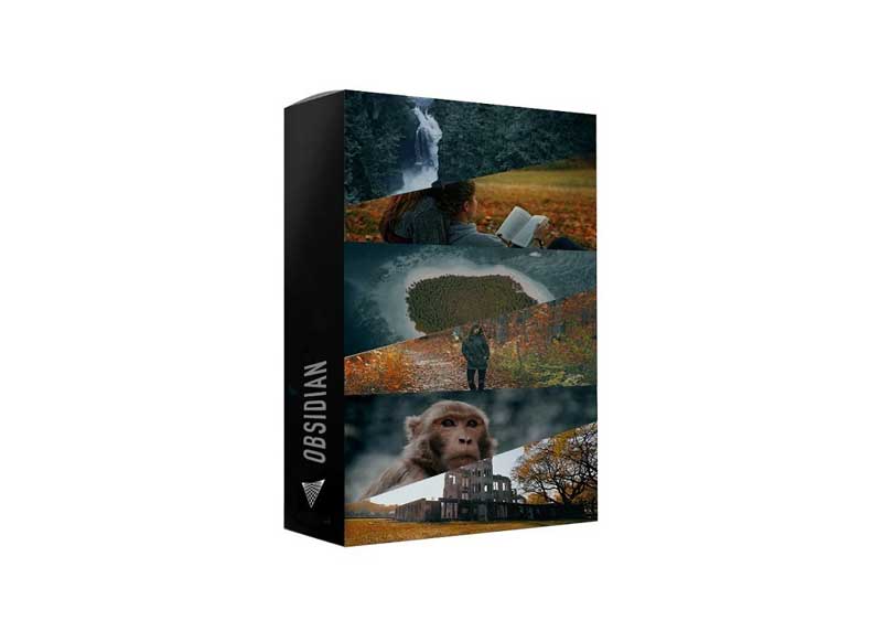 Visualsfirst - Obsidian LUTs 1 Visualsfirst - Obsidian LUTs