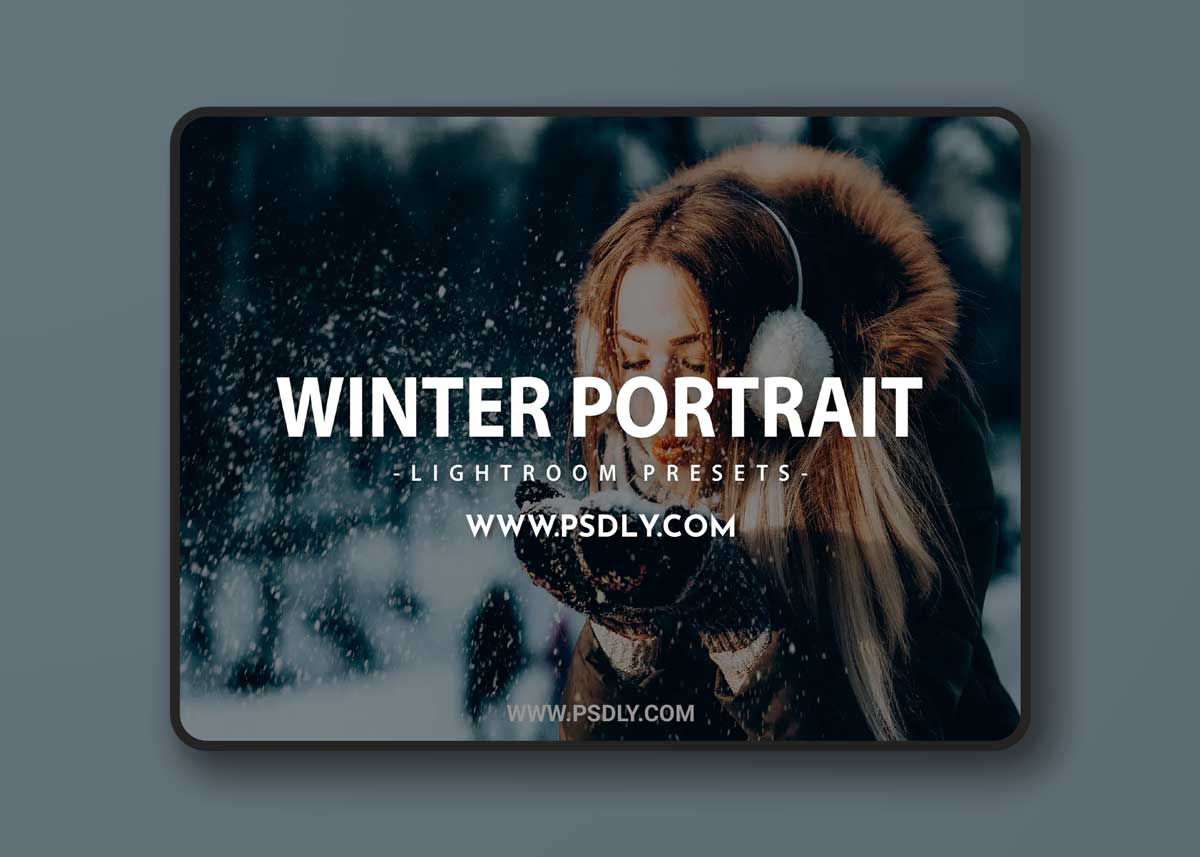 Winter Portrait Lightroom Presets 1 Winter Portrait Lightroom Presets