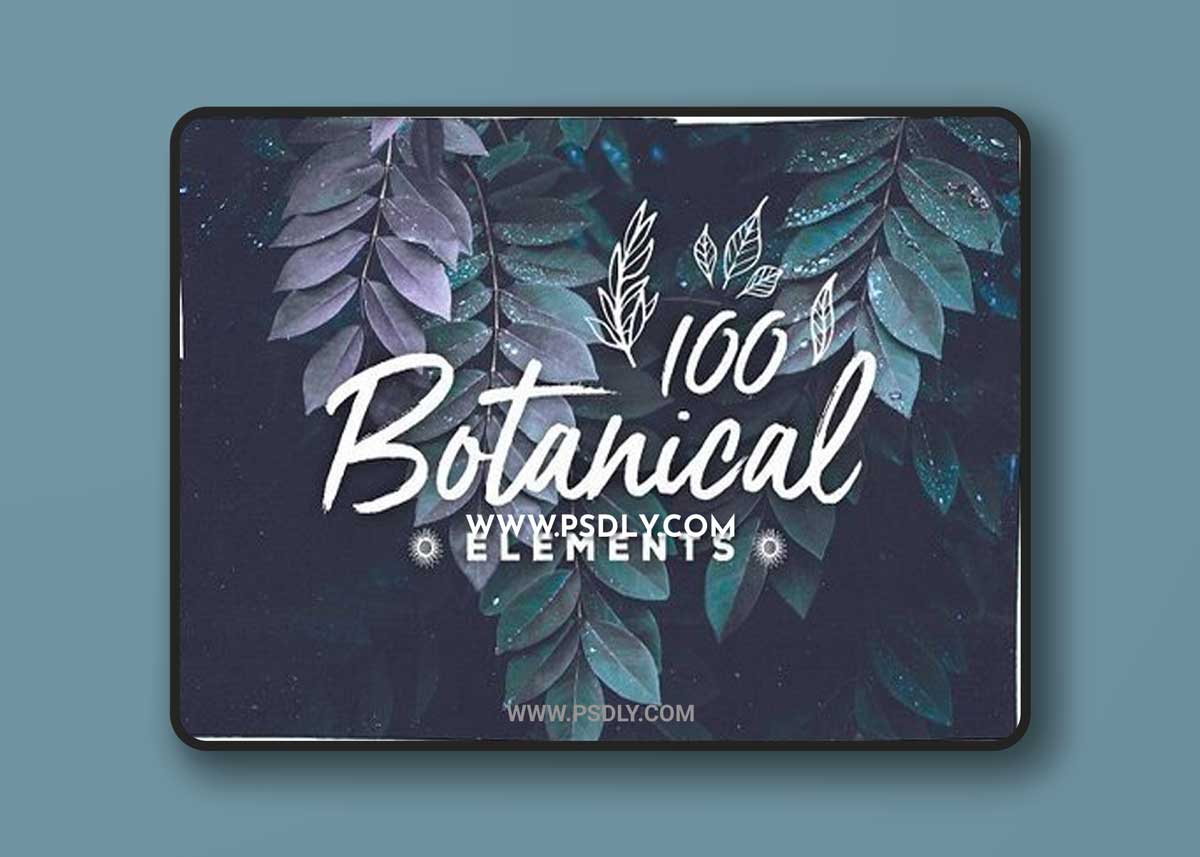 100 Handsketched Botanical Elements 1 100 Handsketched Botanical Elements