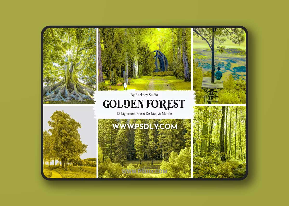 15 Golden Forest Lightroom Presets 1 15 Golden Forest Lightroom Presets