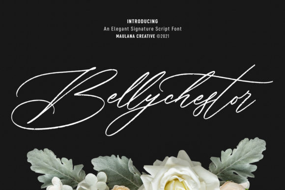 Bellychestor Font 1 Bellychestor Font