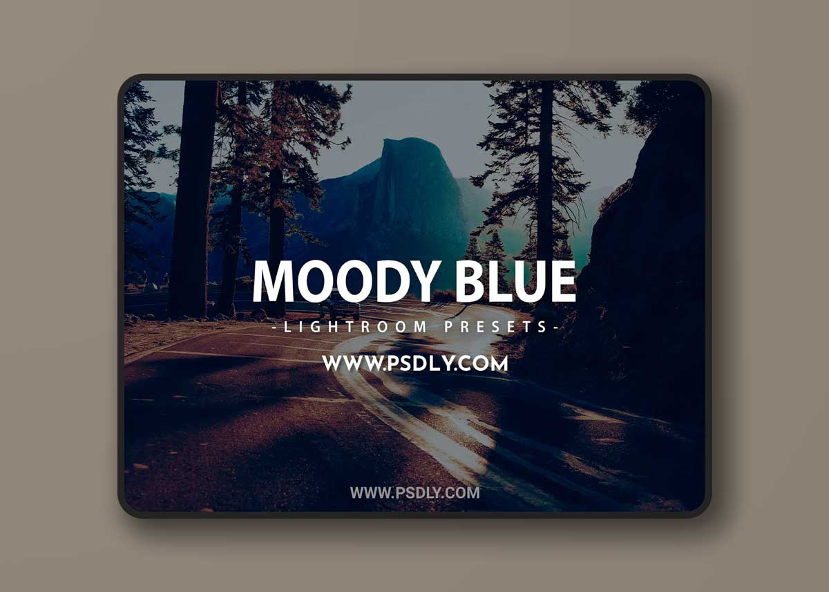 Blue Moody Lightroom Presets 1 Blue Moody Lightroom Presets