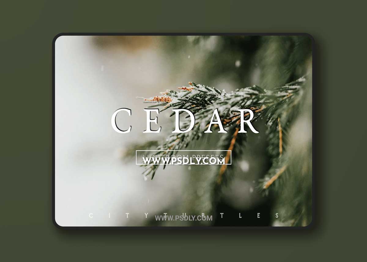 CEDAR Subtle Moody Lightroom Presets 1 CEDAR Subtle Moody Lightroom Presets