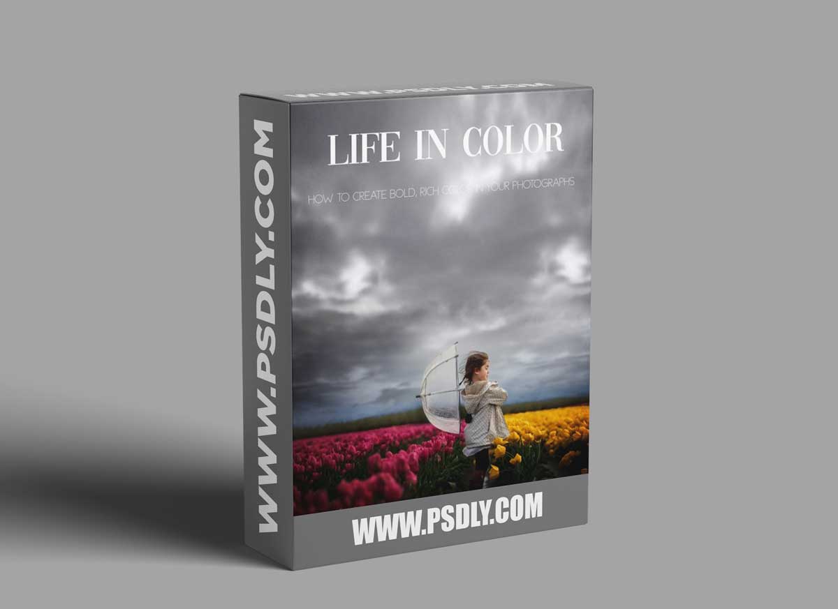 Clickinmoms - Life in Color: Creating bold, rich color in your photographs 1 Clickinmoms - Life in Color: Creating bold, rich color in your photographs