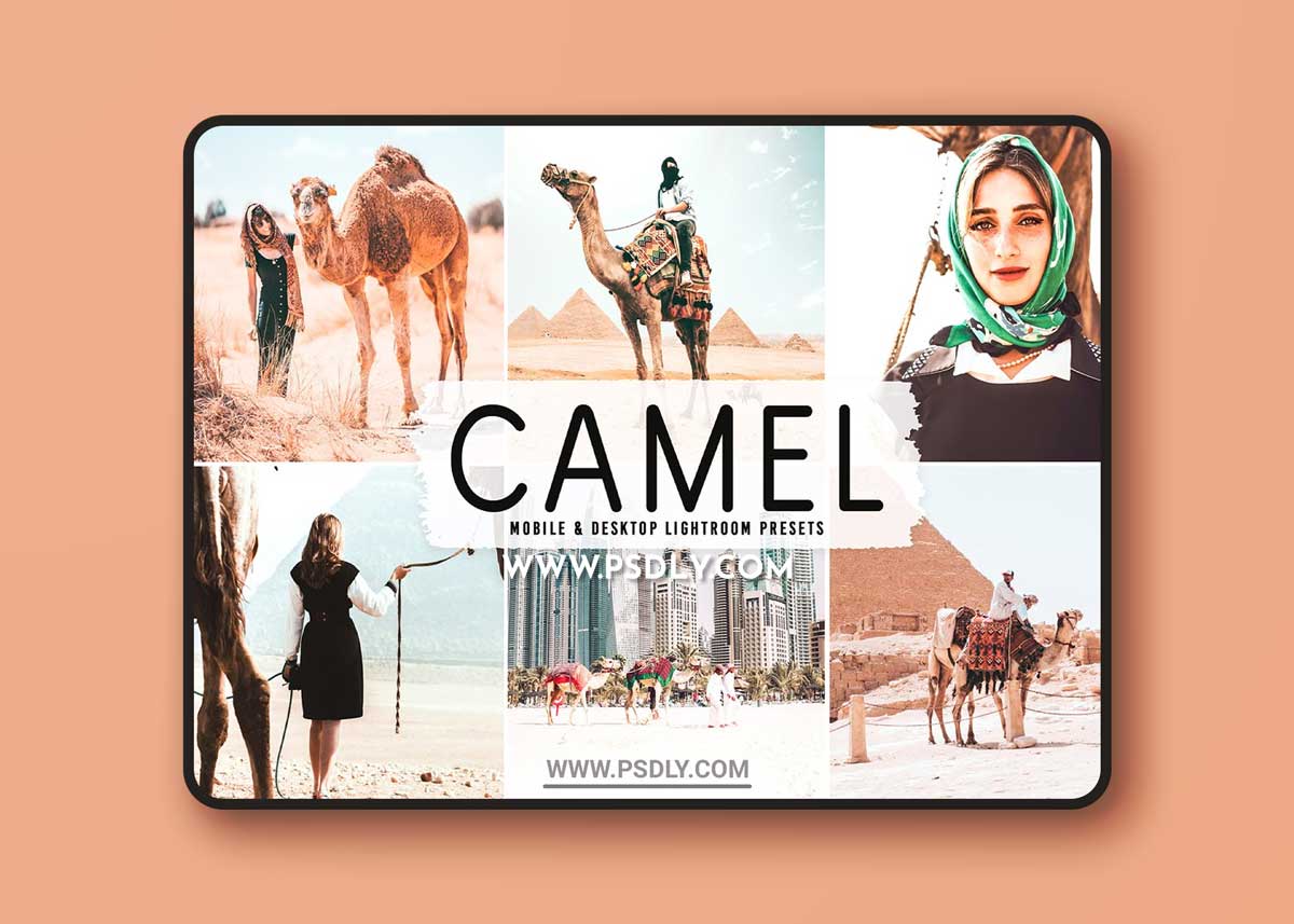 CreativeMarket - Camel Pro Lightroom Presets 6622399 1 CreativeMarket - Camel Pro Lightroom Presets 6622399