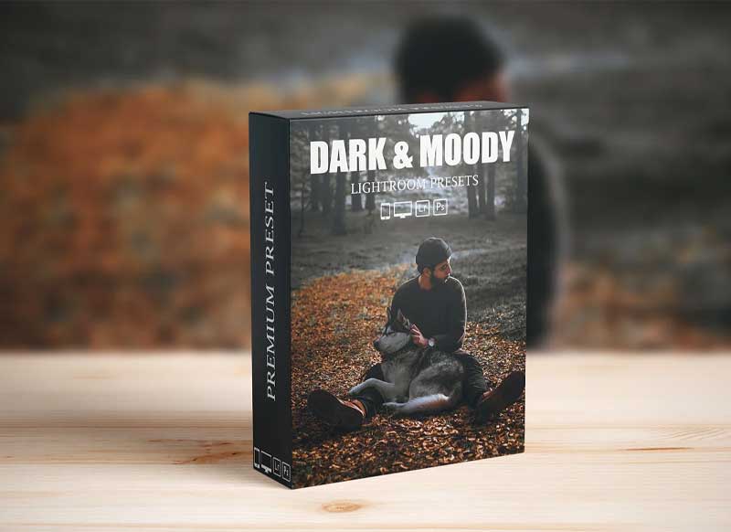 CreativeMarket - Dark and Moody Lightroom presets 6281502 1 CreativeMarket - Dark and Moody Lightroom presets 6281502