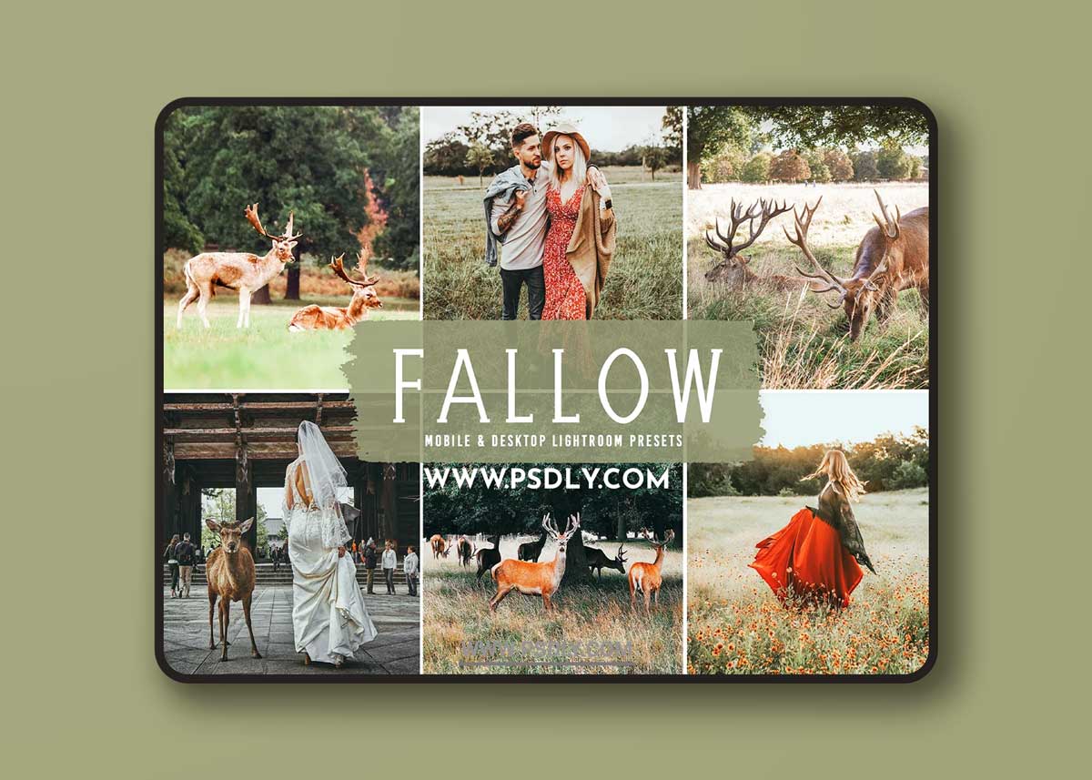 CreativeMarket - Fallow Pro Lightroom Presets 6639851 1 CreativeMarket - Fallow Pro Lightroom Presets 6639851
