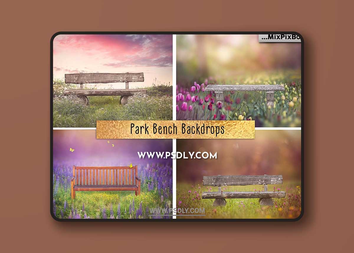 CreativeMarket - Park Bench Backdrops 5013302 1 CreativeMarket - Park Bench Backdrops 5013302